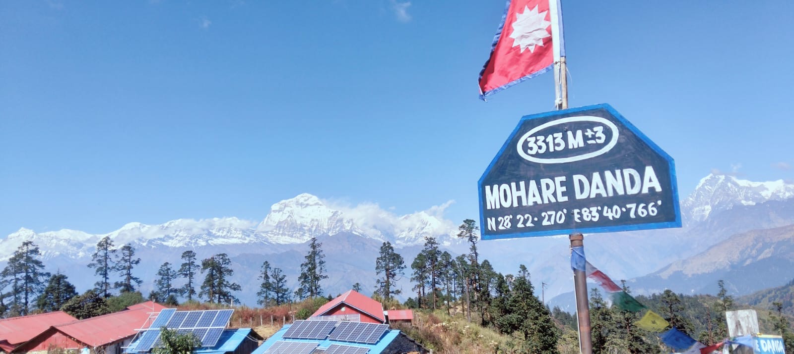 Comfortable community lodges for families with children and seniors trekkers at Mohare Danda