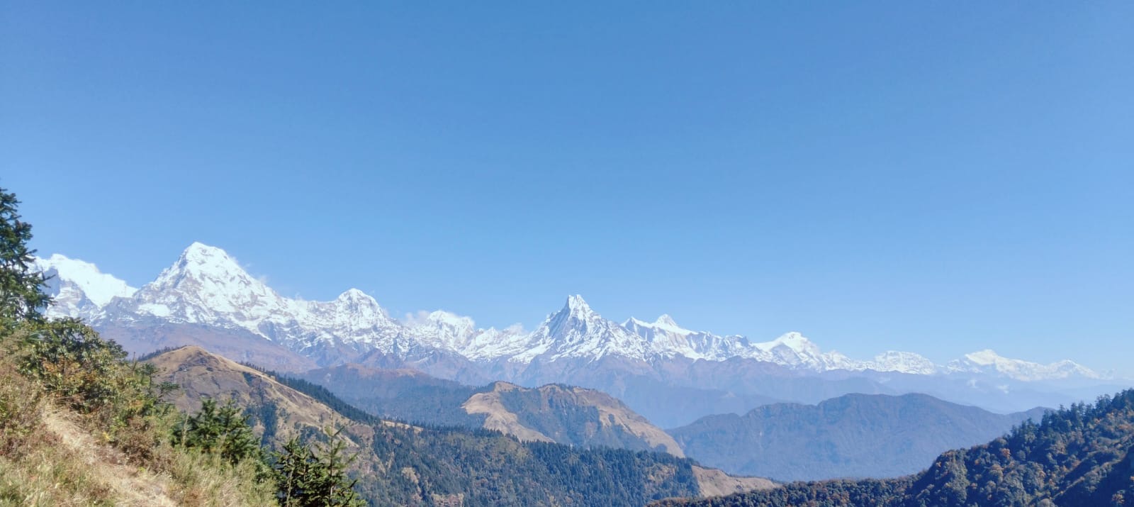 Machhapuchhre (Mt Fishtail) seen from off the beaten ridges of Mohare Danda