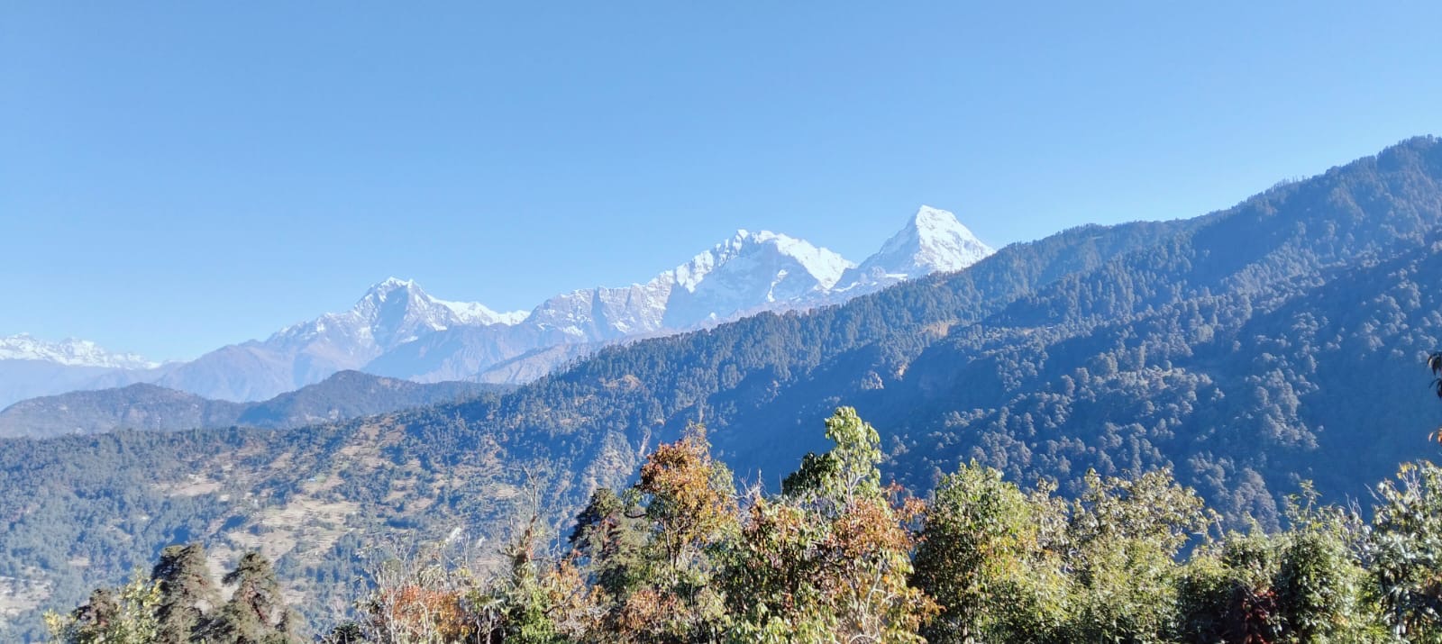 Less crowded, remote and scenic trails of Mohare Danda